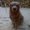 Photo of Carson ..