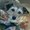 Photo of Qype User (karins…)