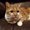 Photo of Molly A.