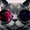 Photo of Neko J.