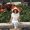 Photo of Samira H.