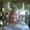 Photo of Kristen K.