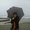 Photo of Analyn E.