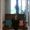 Photo of Anaelsy C.