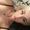 Photo of Nikole V.