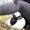 Photo of Viviana N.