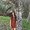 Photo of Kaitlin C.