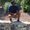 Photo of Nuvi N.