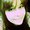 Photo of Leisa V.