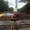 Photo of Charis T.