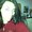 Photo of Maryan N.