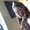 Photo of Shaela M.