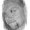 Photo of Donny D.
