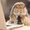 Photo of Bunny L.