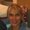 Photo of Julie T.