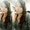 Photo of Ariane H.