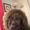Photo of Karen L V.