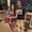 Photo of Darcie C.