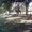 Photo of Ino C.