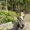 Photo of Kirsten R.