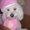 Photo of Me M.