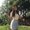 Photo of Isabela A.