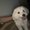 Photo of Candy L.