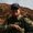 Photo of Mark S.