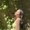 Photo of Candi H.