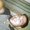 Photo of Nick K.
