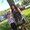 Photo of Lisa C.