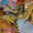 Photo of Lucille B.