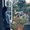 Photo of Viviana G.