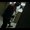 Photo of Tonio3602002 ..