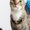 Photo of Tiny F.