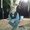 Photo of Morteza F.