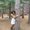 Photo of Nhi T.