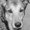 Photo of Boy Mercury C.