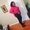 Photo of LaShana C.