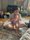 Photo of addie