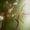 Photo of Samia B.