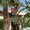 Photo of Qype User (maximi…)