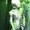 Photo of Shanna R.