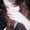 Photo of Samantha M.