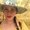 Photo of Stefy M.