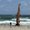 Photo of Theo J.