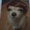 Photo of Lil H.