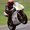 Photo of Qype User (rainer…)
