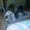 Photo of Imelda S.