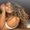 Photo of Draya L.